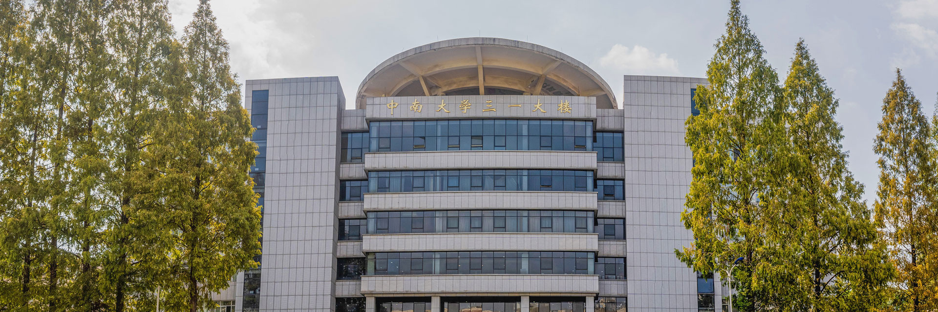 亚洲av